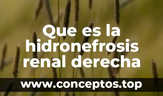 Que es la hidronefrosis renal derecha
