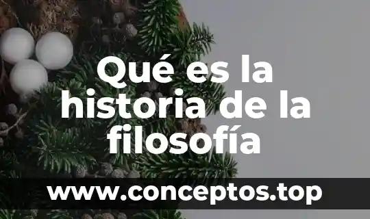 Que es historia significado 5 Qué es la historia de la filosofía