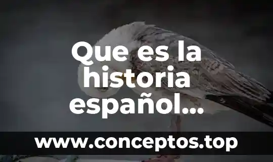 Que es sociedad de consumo en español 5 Que es la historia español materia