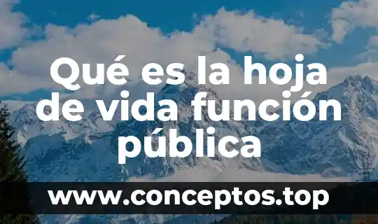 Qué es la hoja de vida función pública