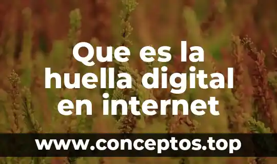 Que es la huella digital en internet