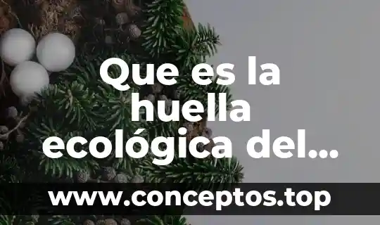 Que es huella ecologica articulos 4 Que es la huella ecológica del hombre