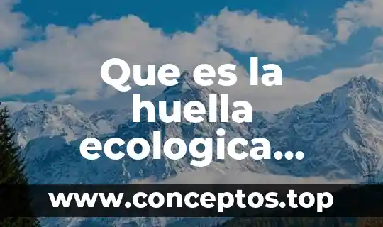 Que es huella ecologica articulos 7 Que es la huella ecologica resumen