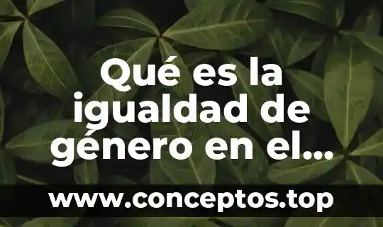 Igualdad de género que es según la unicef 6 Qué es la igualdad de género en el ámbito cultural