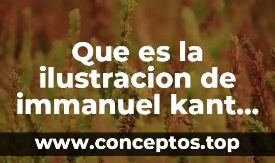 Que es la ilustracion de immanuel kant ensayo