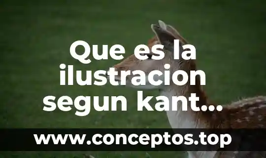 Que es la ilustracion segun kant 1784