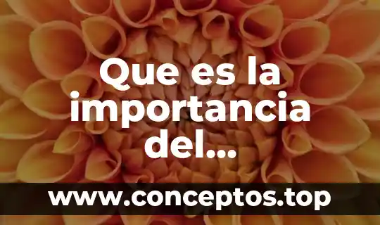 Que es importancia a la disciplina tesis 6 Que es la importancia del rendimiento del grano de maíz