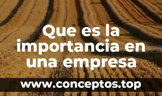 Que es la importancia en una empresa