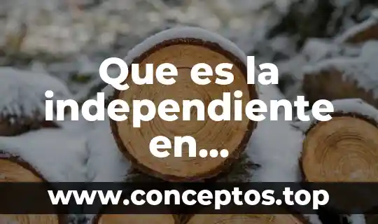 ¿Qué es mejor un trabajo fijo o independiente? 4 Que es la independiente en matematicas