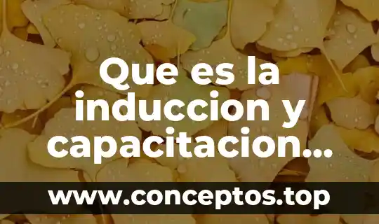 Que es capacitacion y tipos de capacitacion 3 Que es la induccion y capacitacion de personal conricyt