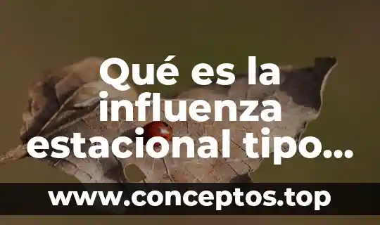 Qué es la influenza estacional tipo a