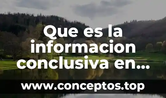 Que es la informacion conclusiva en una investigacion de mercado
