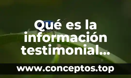 Qué es la información testimonial prezi