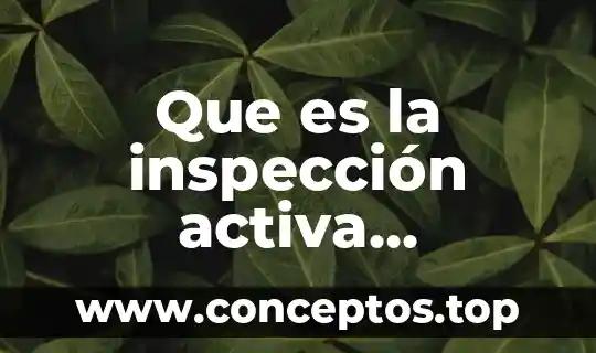 Que es la inspección activa e-commerce