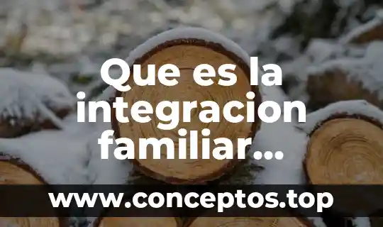 Qué es significado y concepto de la sociedad 8 Que es la integracion familiar concepto