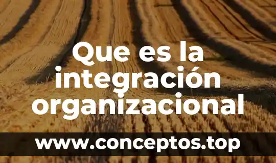 Que es integracion social en la recreacion 5 Que es la integración organizacional