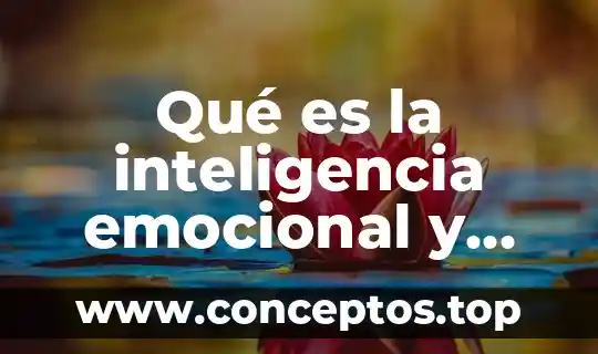 Qué es la inteligencia emocional y sus tipos preescolar