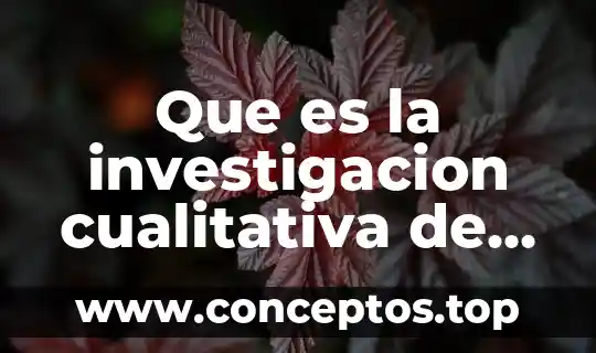 Que es la investigacion cualitativa de whitehead 1991