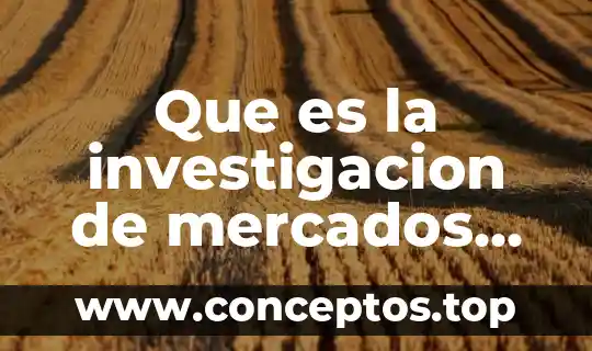 Que es la investigacion de mercados de tesis