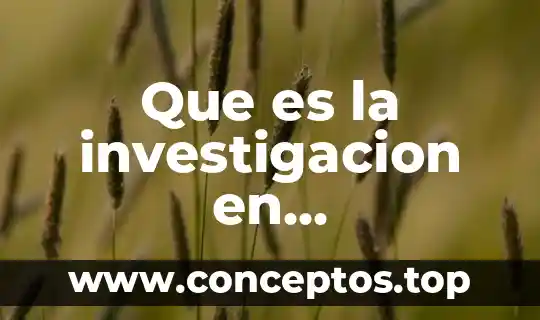 Que es el nivel de investigacion basico 6 Que es la investigacion en publicaciones