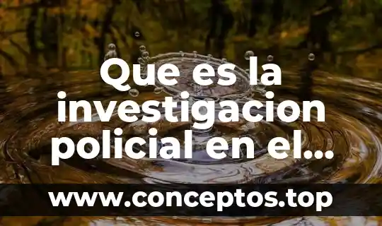 Que es firma digital peru 5 Que es la investigacion policial en el Peru