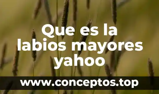 Qué es una representación cartográfica Yahoo 7 Que es la labios mayores yahoo