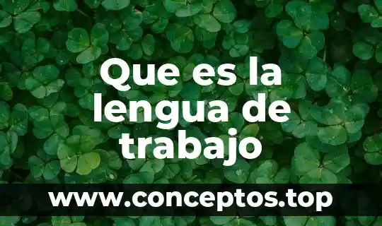Que es la lengua de trabajo
