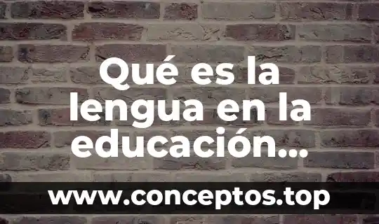 Qué es la lengua en la educación primaria