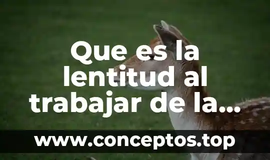 Que es el eic viajar y trabajar a canada 8 Que es la lentitud al trabajar de la computadora
