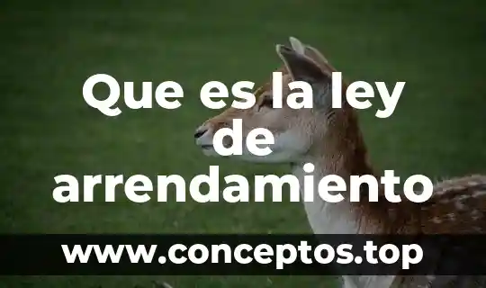 Que es la ley de arrendamiento