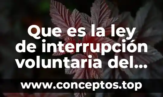 Que es la ley de interrupción voluntaria del embarazo