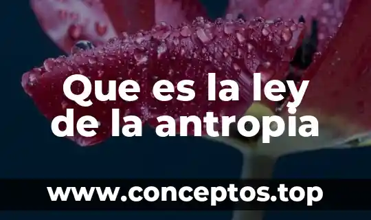 Que es la ley de la antropia