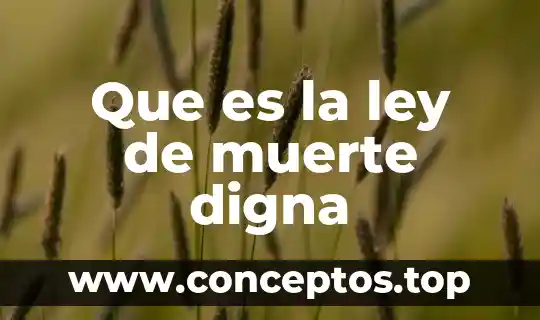 Que es la ley de muerte digna