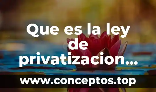 Que es la ley de privatizacion del agua