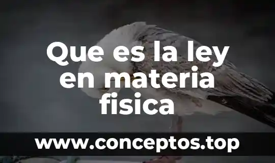 Que es la ley en materia fisica