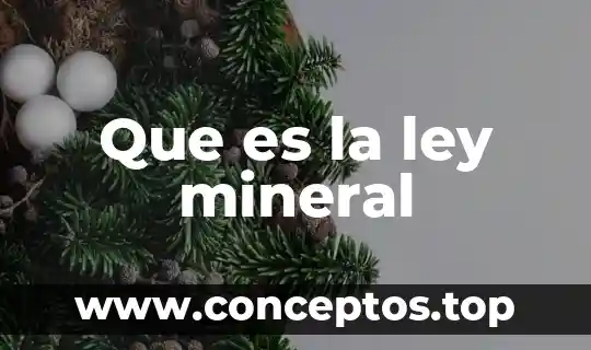 Que es la ley mineral