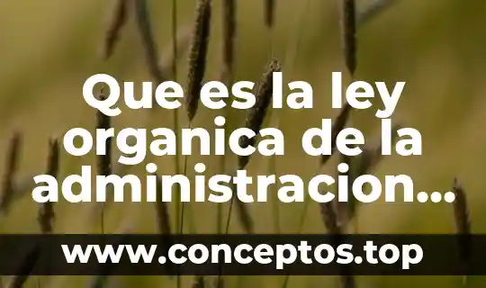 Que es el nombre comercial segun la ley 6 Que es la ley organica de la administracion federal