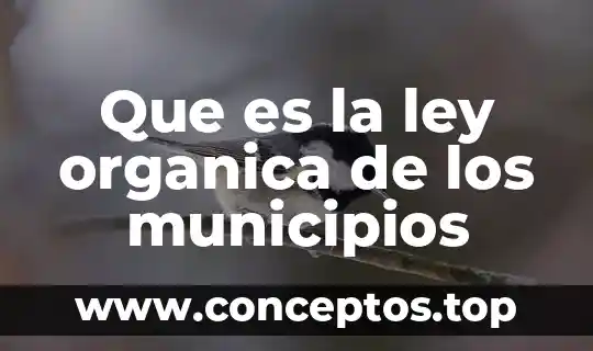 Que es el nombre comercial segun la ley 7 Que es la ley organica de los municipios
