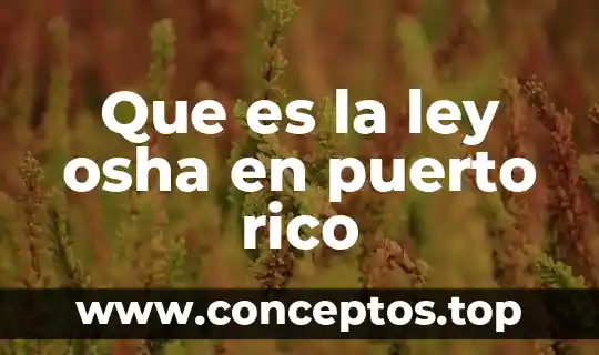 Que es infraccion de la ley 3 Que es la ley osha en puerto rico