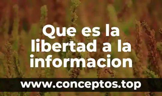 Que es grados de libertad en estadistica 8 Que es la libertad a la informacion
