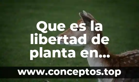 Que es grados de libertad en estadistica 4 Que es la libertad de planta en arquitectura