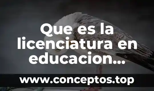 Que es la educacion urbana en 1940 3 Que es la licenciatura en educacion preescolar