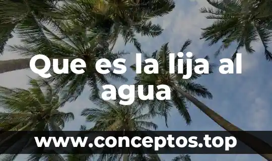 Que es magnetizar el agua 7 Que es la lija al agua