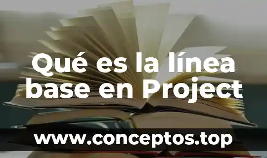 Qué es la línea base en Project