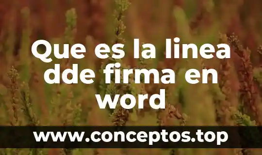 Qué es la firma digital del sat 5 Que es la linea dde firma en word