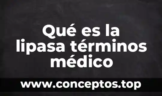 Qué es la lipasa términos médico