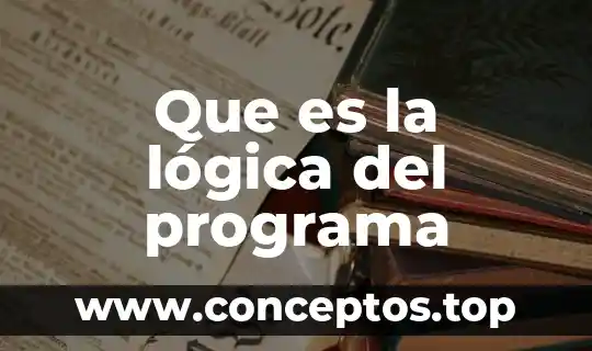 Que es la lógica del programa
