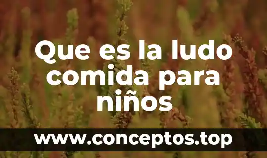 Que es la ludo comida para niños