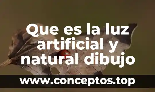Que es la luz artificial y natural dibujo