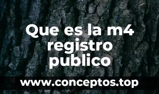 Qué es un nombre público 3 Que es la m4 registro publico